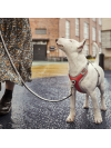 Hurtta Venture No-Pull Harness Bilberry - postroj pre psa s predným zapínaním