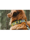 Hurtta Weekend Warrior Collar Neon Lemon - vodeodolný obojok pre psa