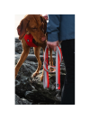 Hurtta Weekend Warrior Eco Leash Hedge - recyklované vodeodolné vodítko pre psov