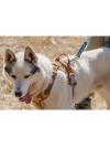 Hurtta Weekend Warrior Harness Desert - postroj pre aktívnych psov