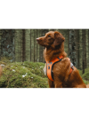 Hurtta Weekend Warrior Harness Neon Orange - postroj pre aktívnych psov