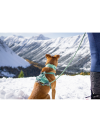 Hurtta Weekend Warrior Collar Park Camo - vodeodolný obojok pre psa